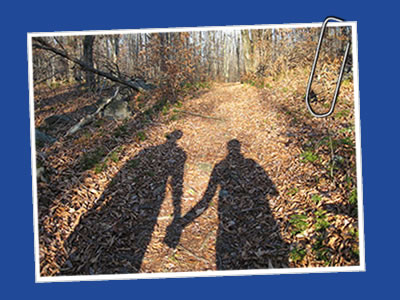 Counselling - more beneficial than a walk in the forest