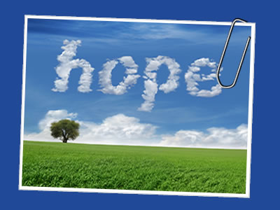 Phoenix practice, confidentiality, fees, appointments and commitments