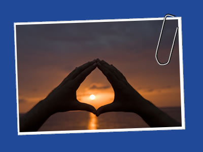 Phoenix practice, confidentiality, fees, appointments and commitments